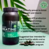 Energy Booster, A Bottle Of Capsules With Text And A Leaf